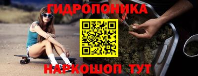стафф Краснодар