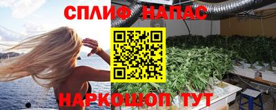 стафф Краснодар